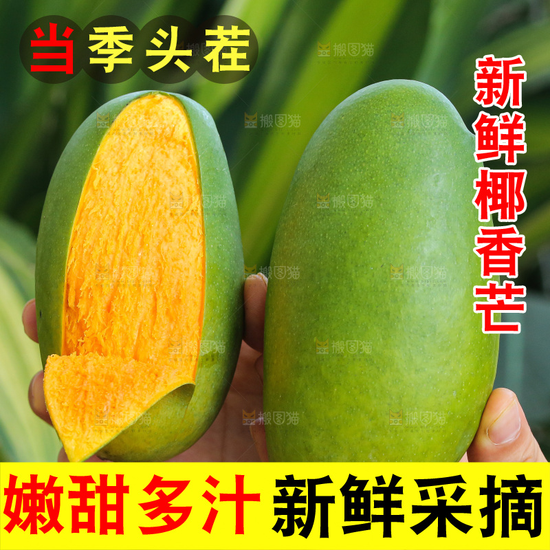 手里拿着椰香芒
