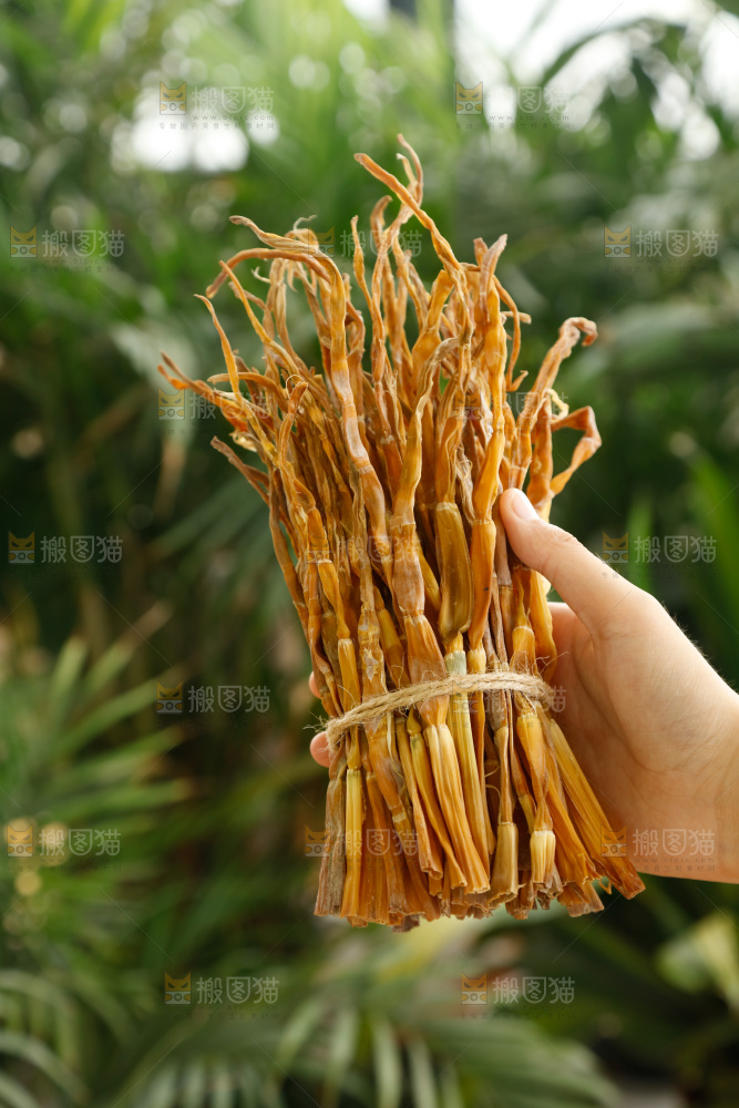 手里拿着小笋干