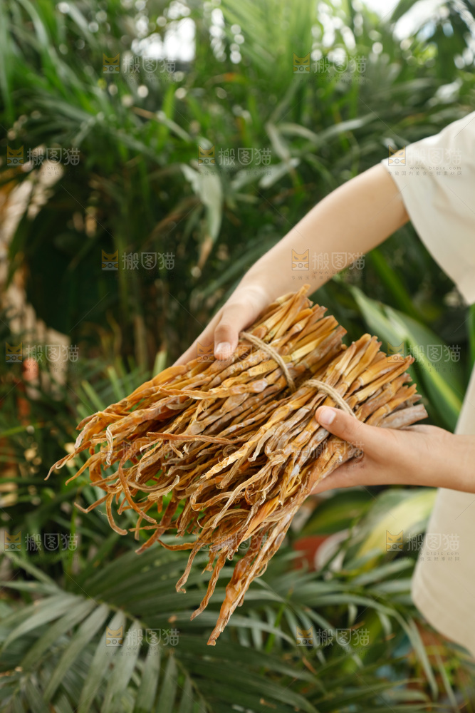 手里拿着小笋干