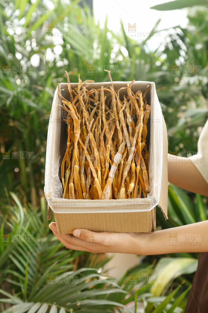 手里拿着小笋干