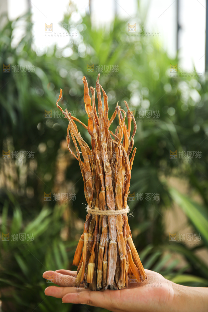 手里拿着小笋干