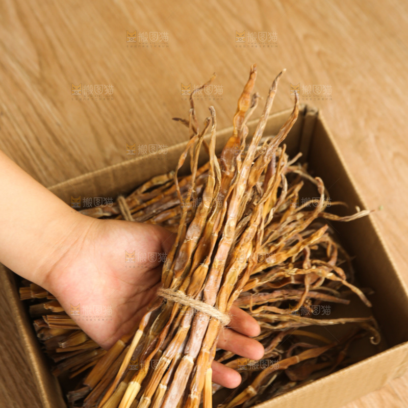 手里拿着小笋干