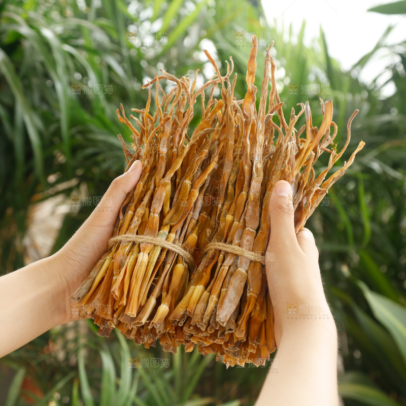 手里拿着小笋干