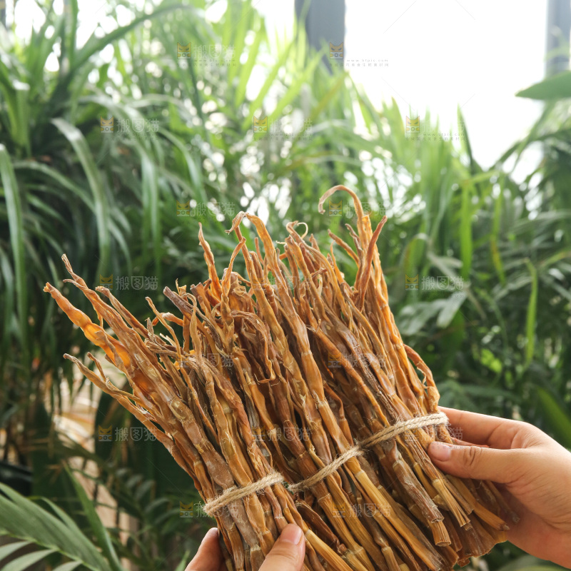 手里拿着小笋干