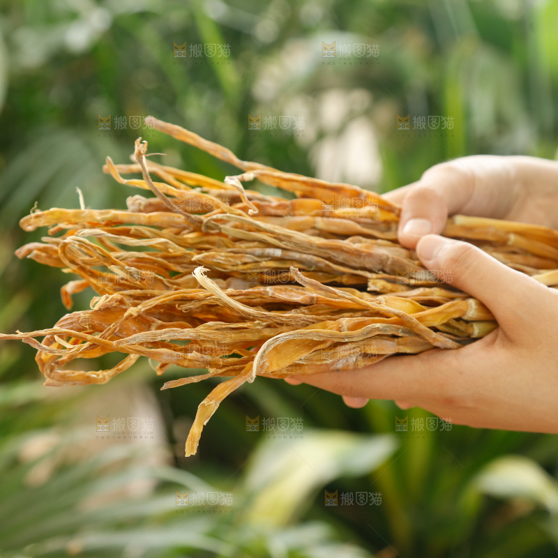 手里拿着小笋干