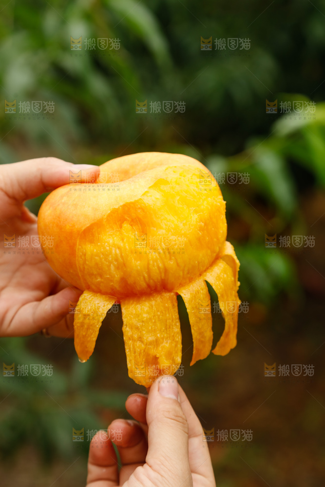 手里拿着黄油蟠桃