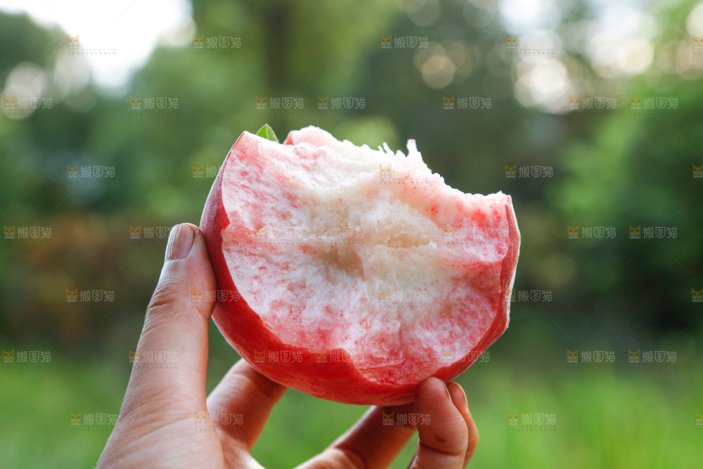手里拿着红脆桃