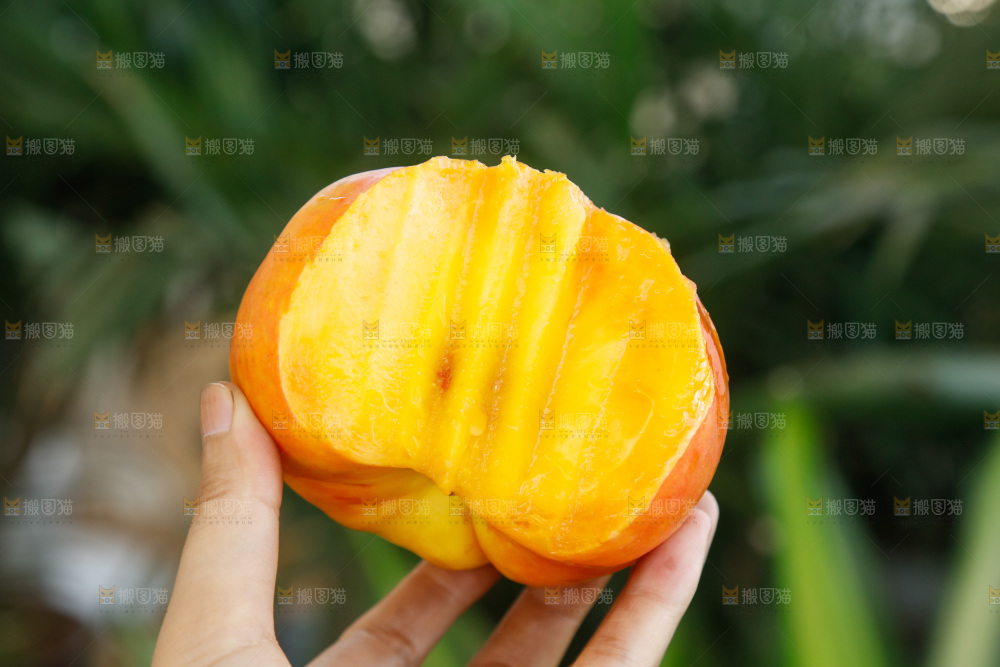 深底上的黄油蟠桃