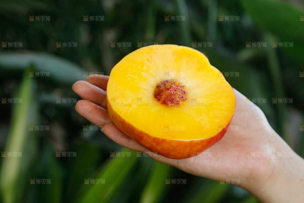 深底上的黄油蟠桃