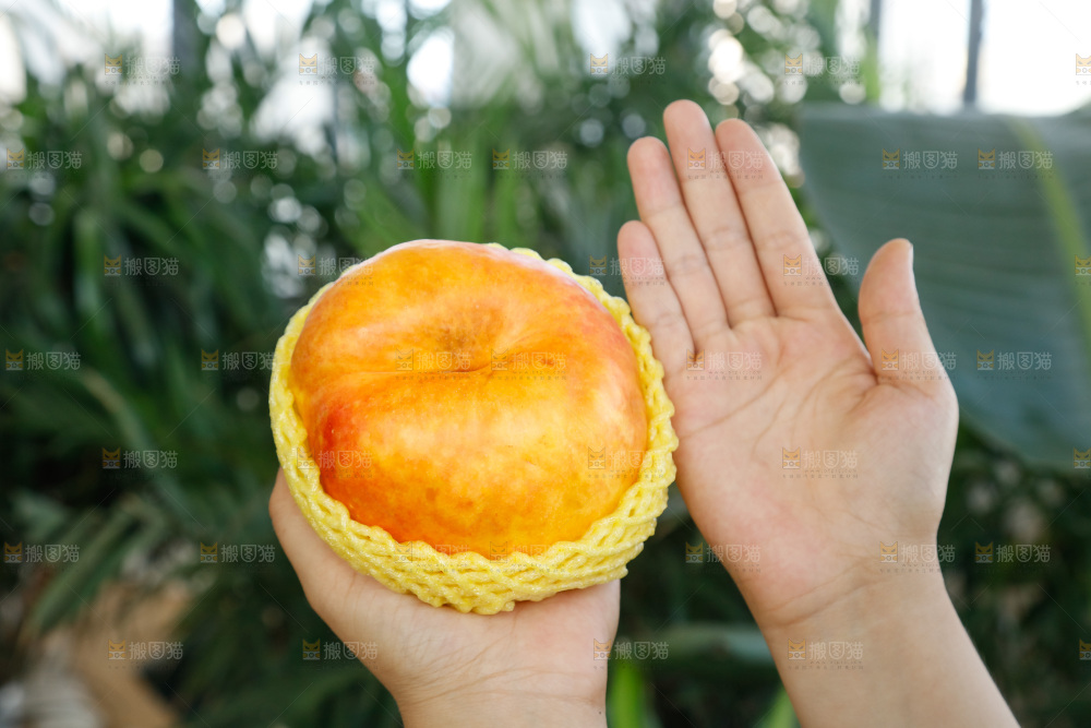 深底上的黄油蟠桃