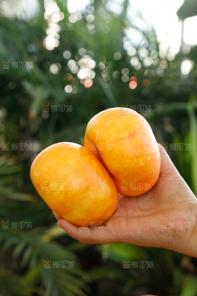 深底上的黄油蟠桃