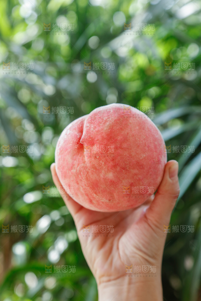 手里拿着红脆桃