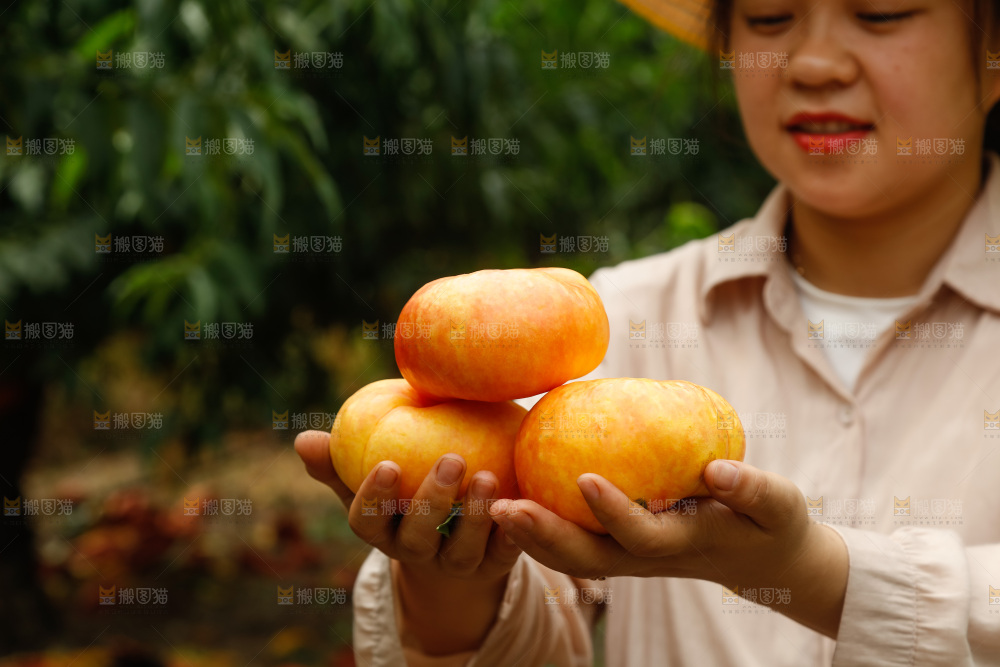 手里拿着黄油蟠桃