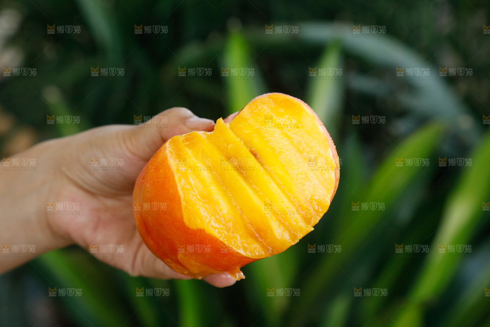 深底上的黄油蟠桃