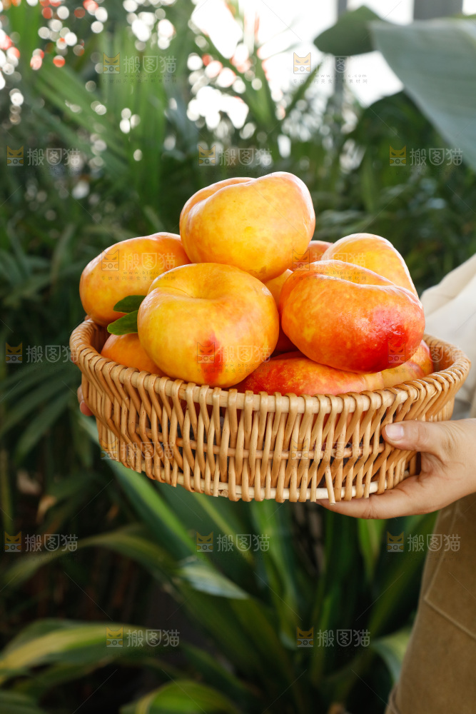 深底上的黄油蟠桃