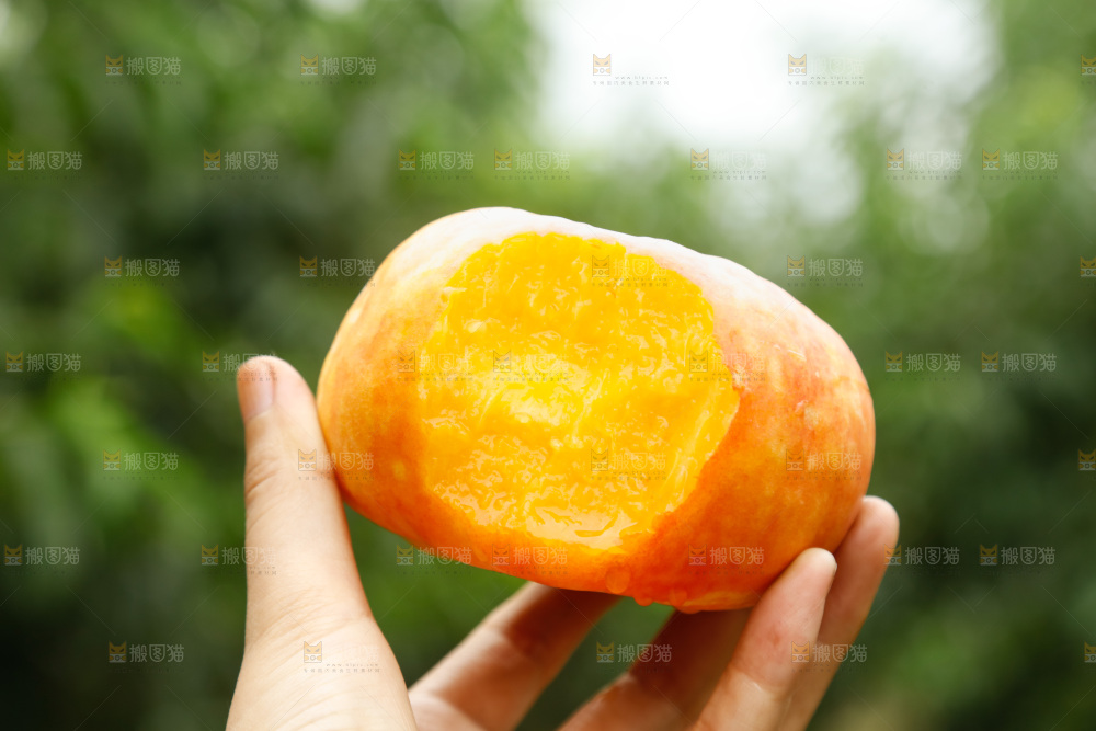 深底上的黄油蟠桃