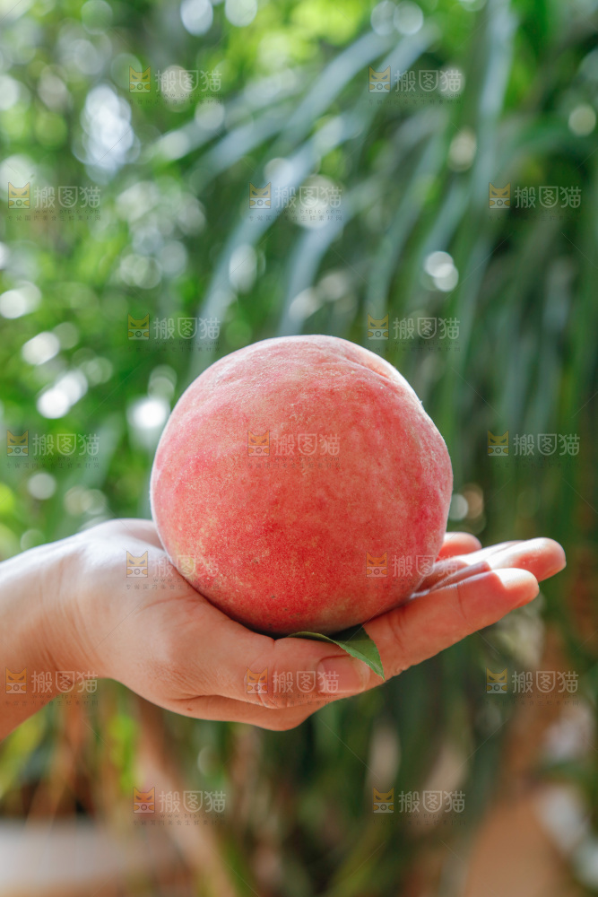 手里拿着红脆桃
