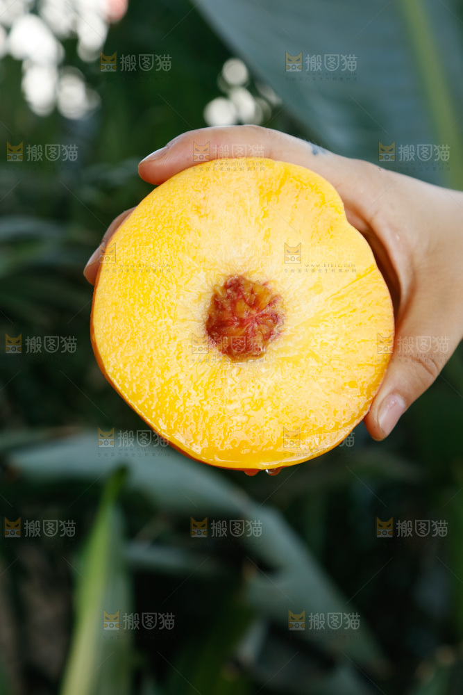 深底上的黄油蟠桃
