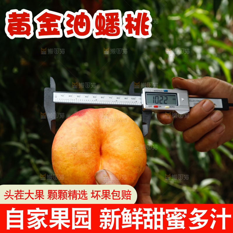手里拿着黄油蟠桃