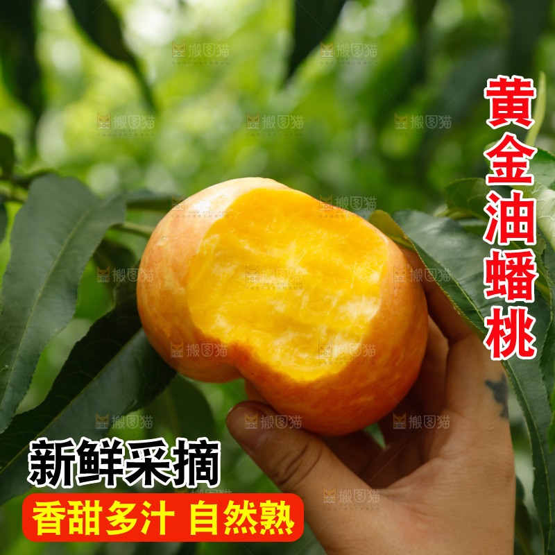 手里拿着黄油蟠桃