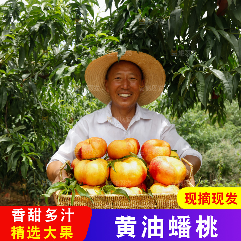 手里拿着黄油蟠桃