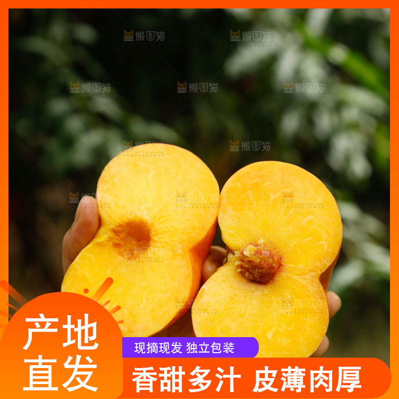 手里拿着黄油蟠桃