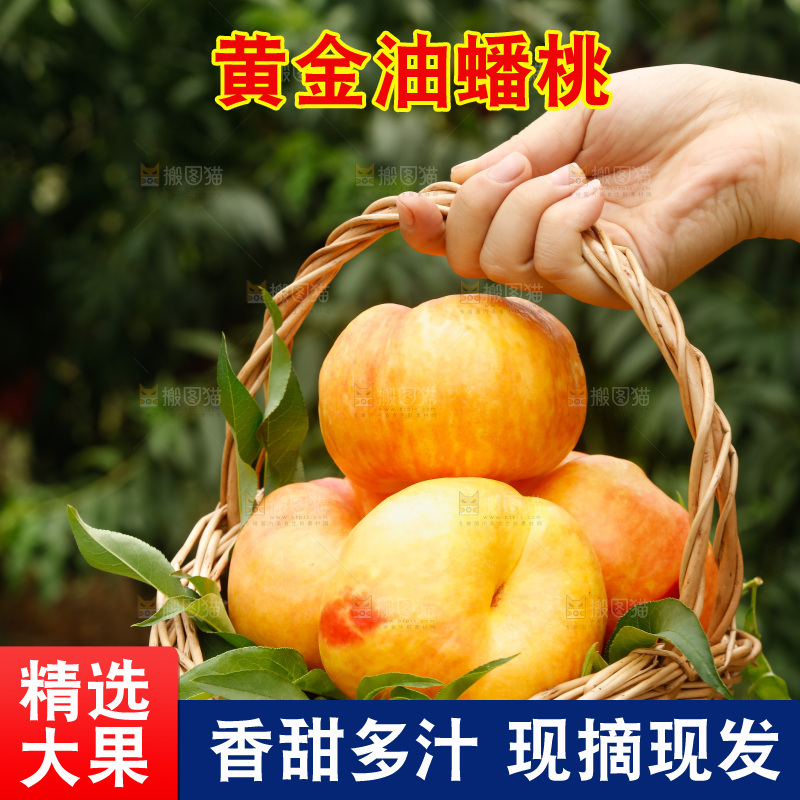 手里拿着黄油蟠桃
