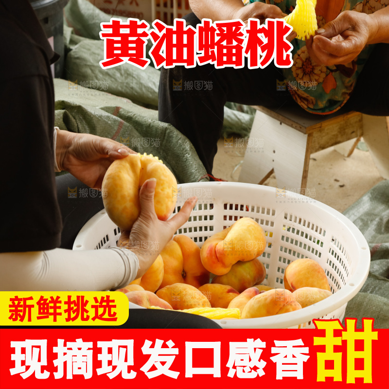 堆放着的黄蟠桃