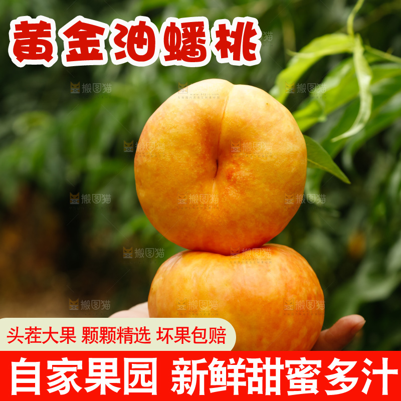 手里拿着黄油蟠桃