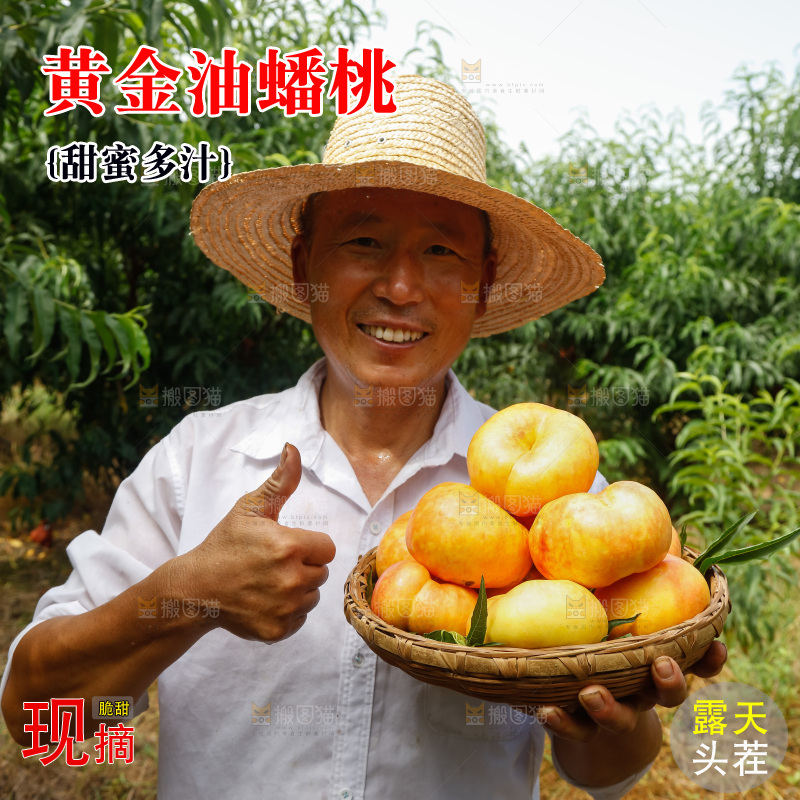 手里拿着黄油蟠桃