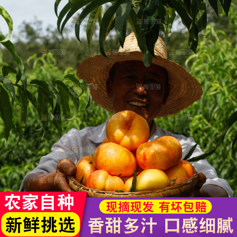 手里拿着黄油蟠桃
