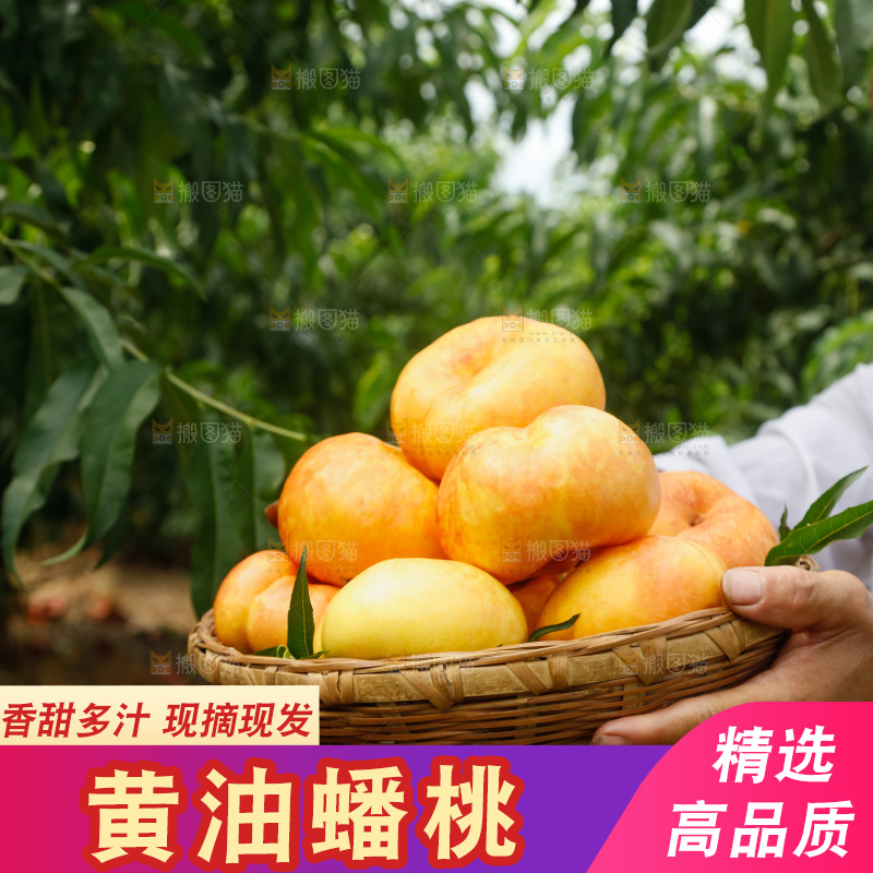 手里拿着黄油蟠桃