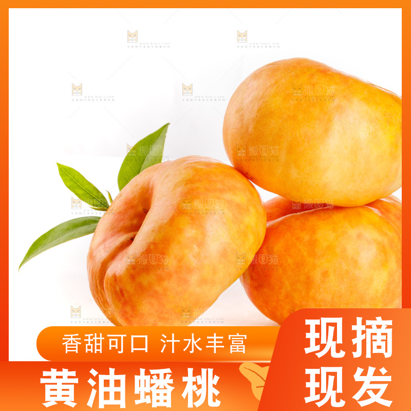 白底摆放着黄油蟠桃