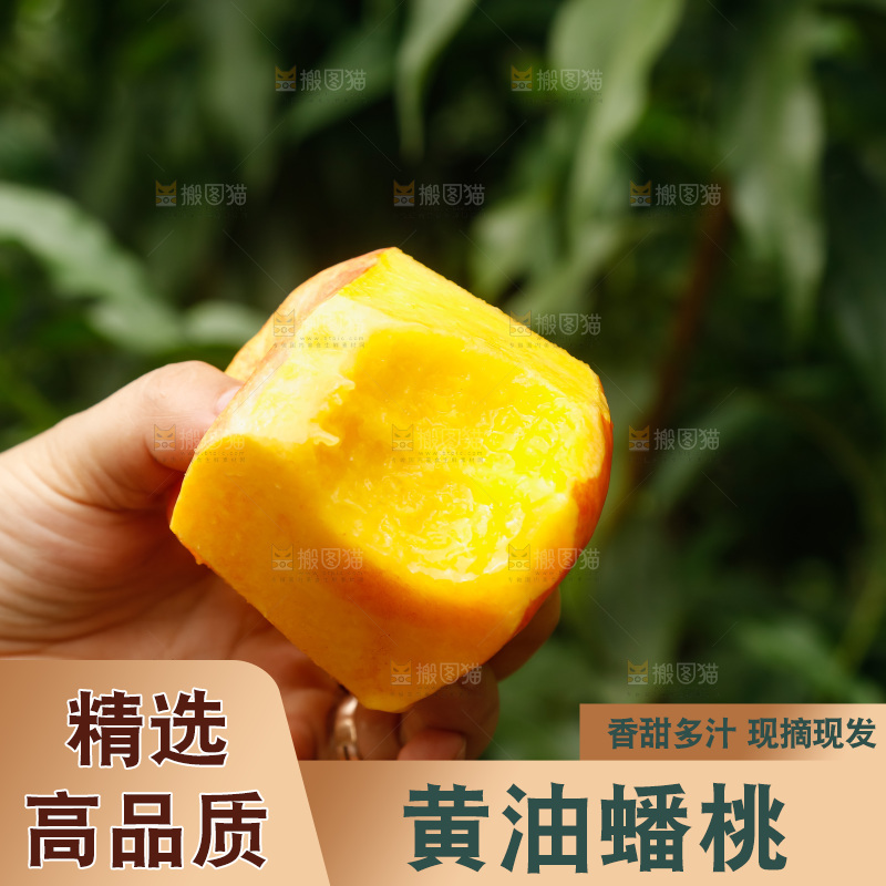 手里拿着黄油蟠桃
