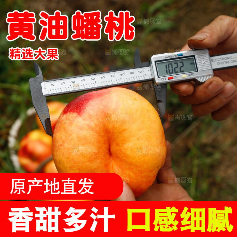 手里拿着黄油蟠桃