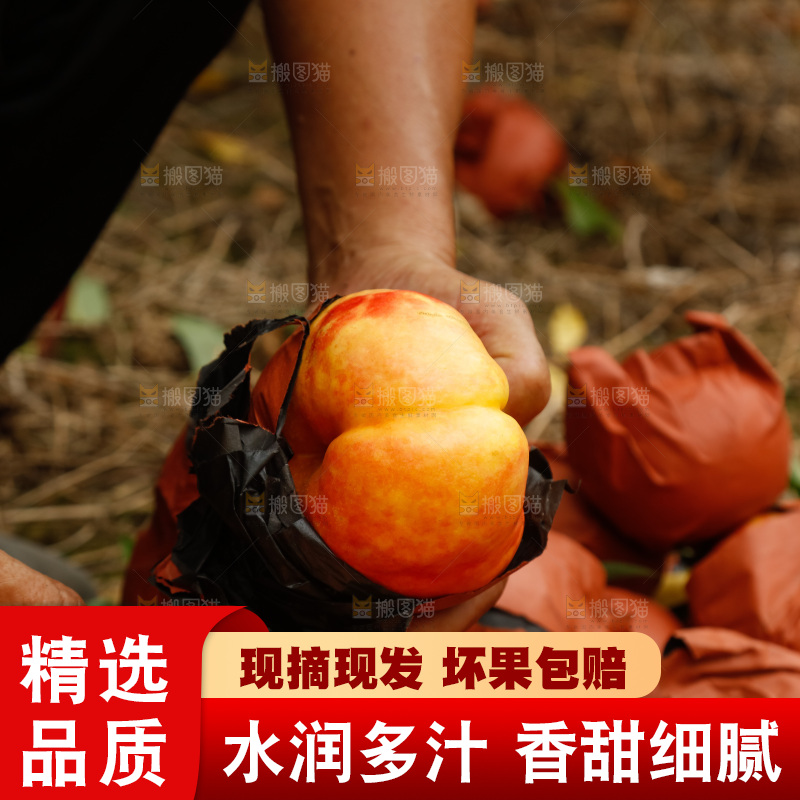 深底上的黄油蟠桃