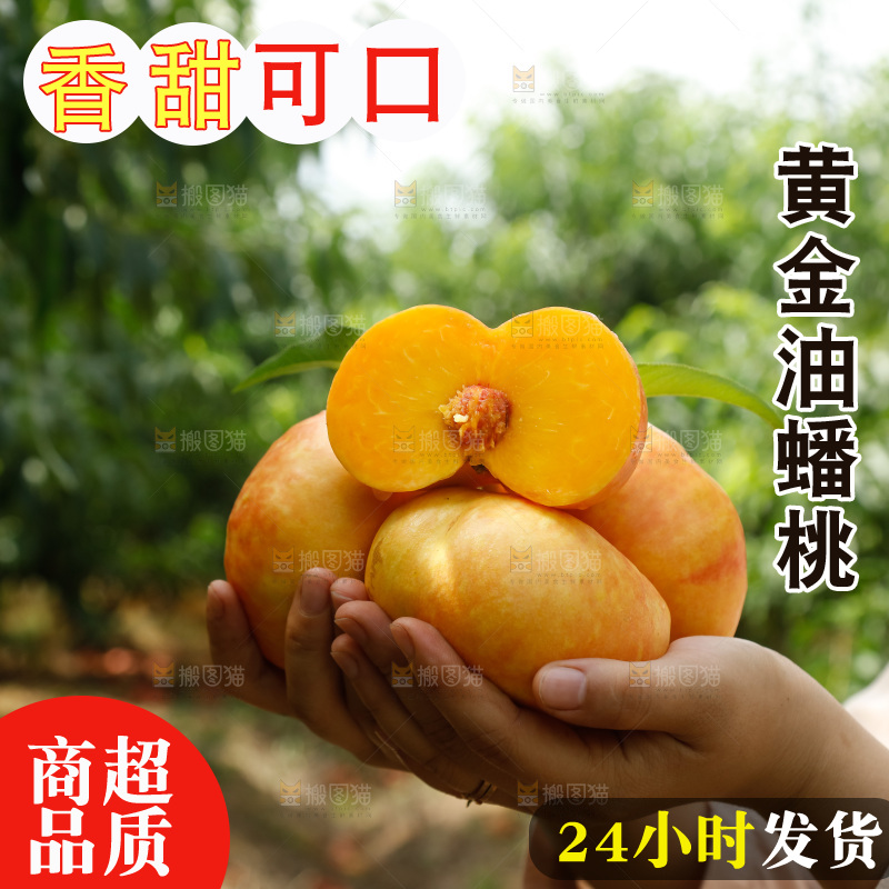手里拿着黄油蟠桃