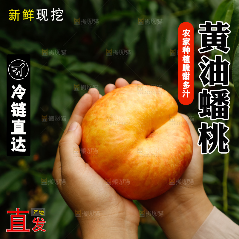 手里拿着黄油蟠桃