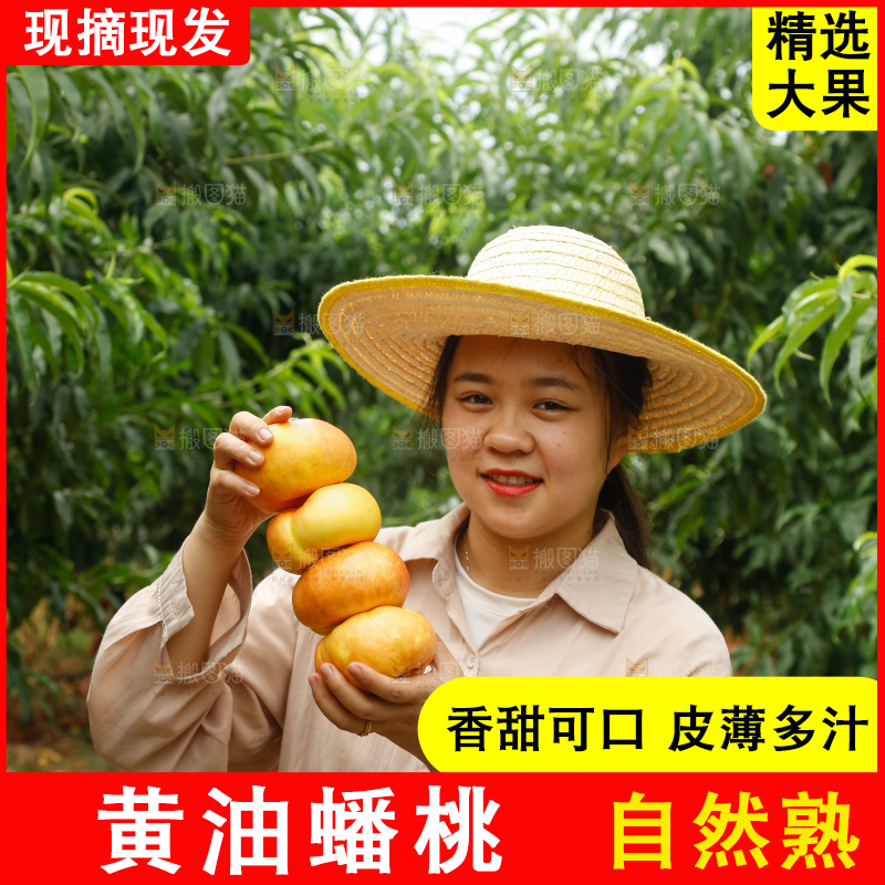 手里拿着黄油蟠桃
