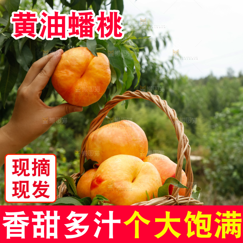 手里拿着黄油蟠桃