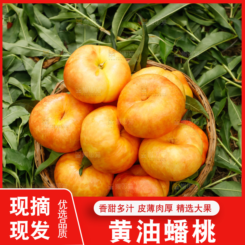 手里拿着黄油蟠桃