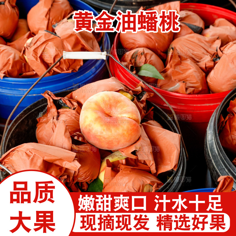 堆放着的黄蟠桃