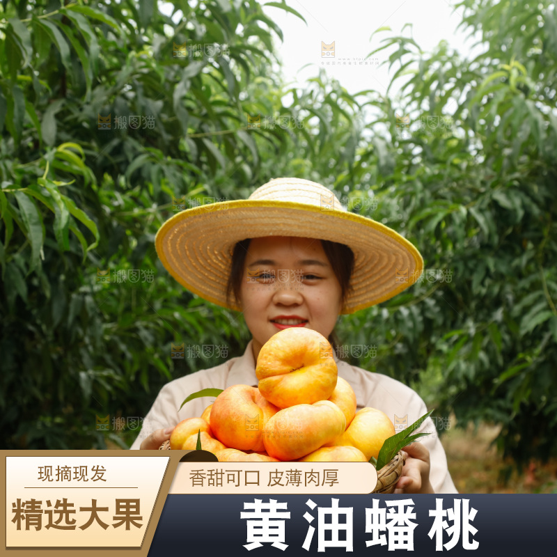 手里拿着黄油蟠桃