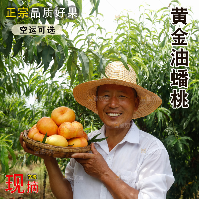 手里拿着黄油蟠桃