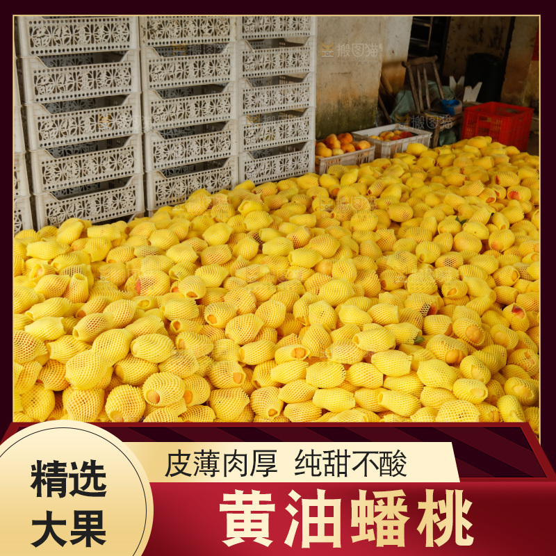 堆放着的黄蟠桃