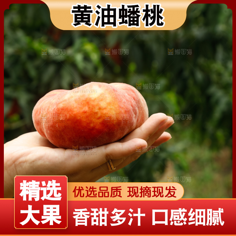 堆放着的黄蟠桃