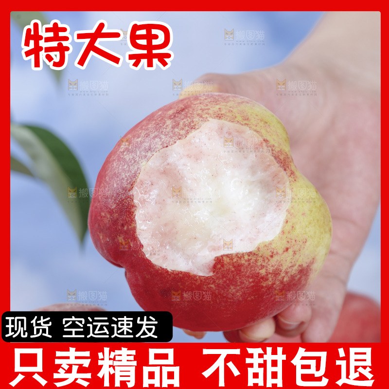 浅底上的苹果桃
