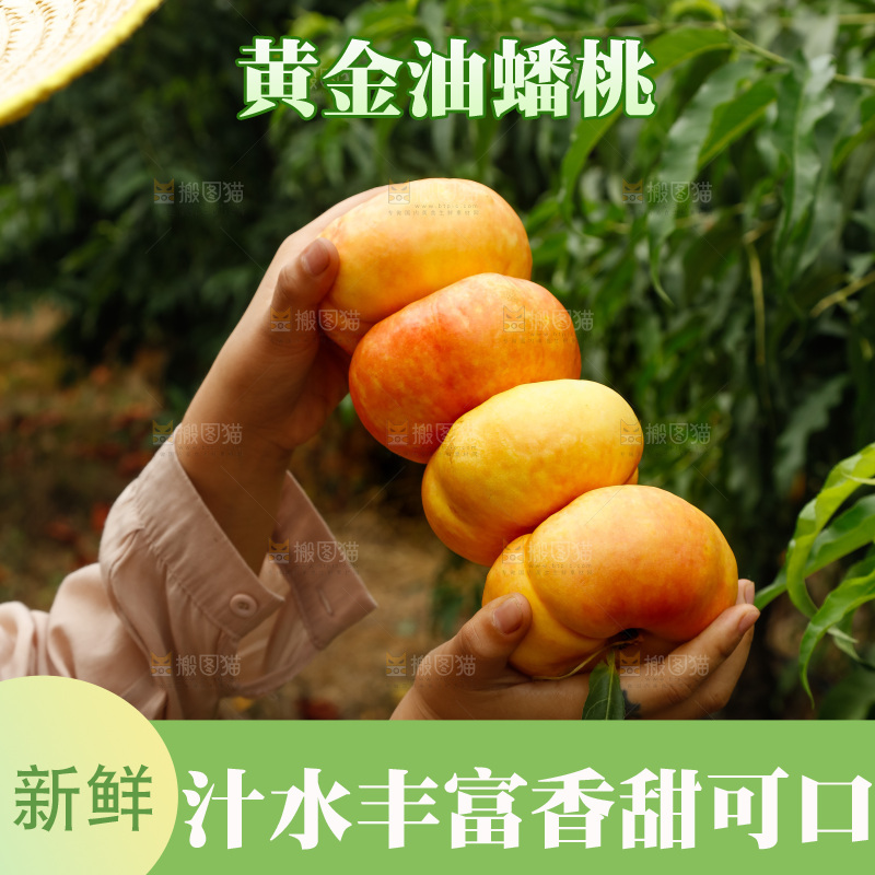 手里拿着黄油蟠桃