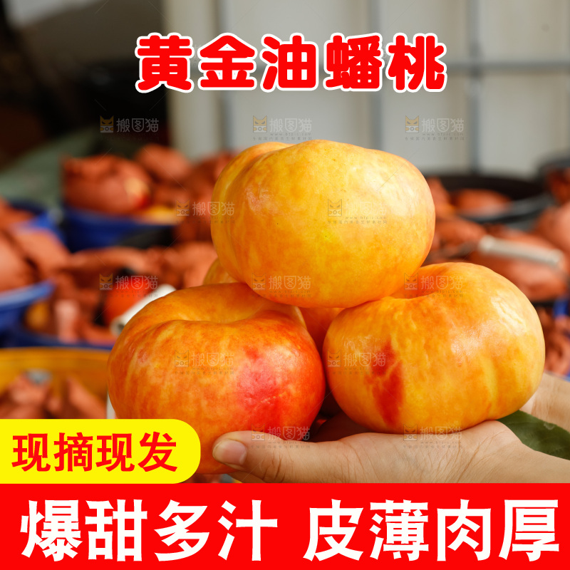 手里拿着黄油蟠桃