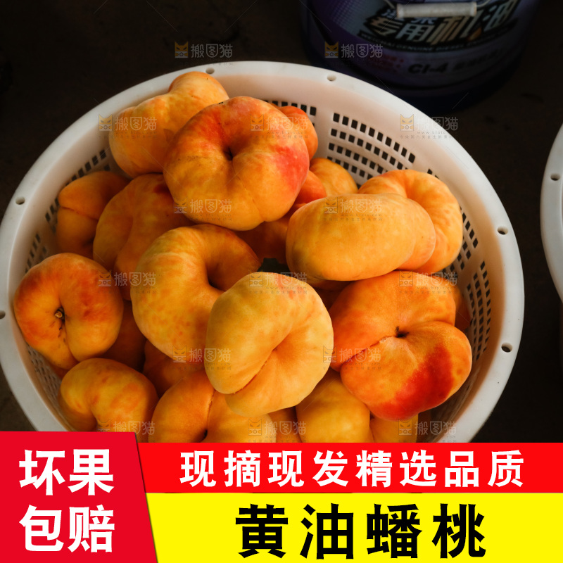 堆放着的黄蟠桃